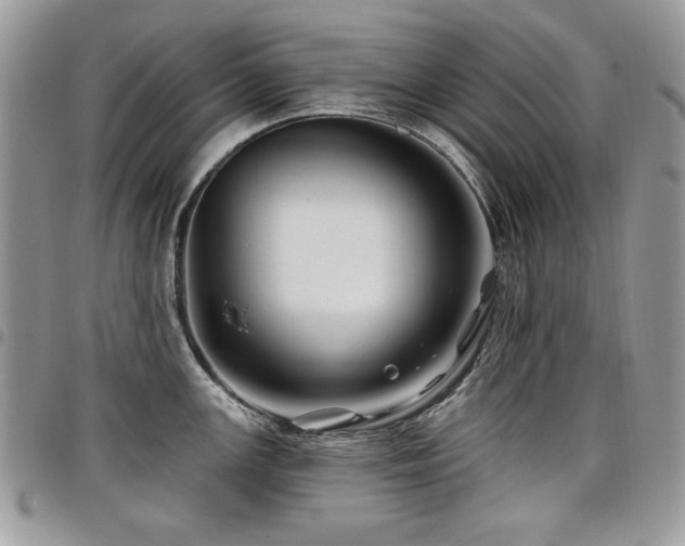 X0000098031147200803281403