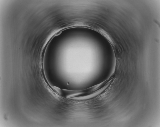 X0000098031148200803281403