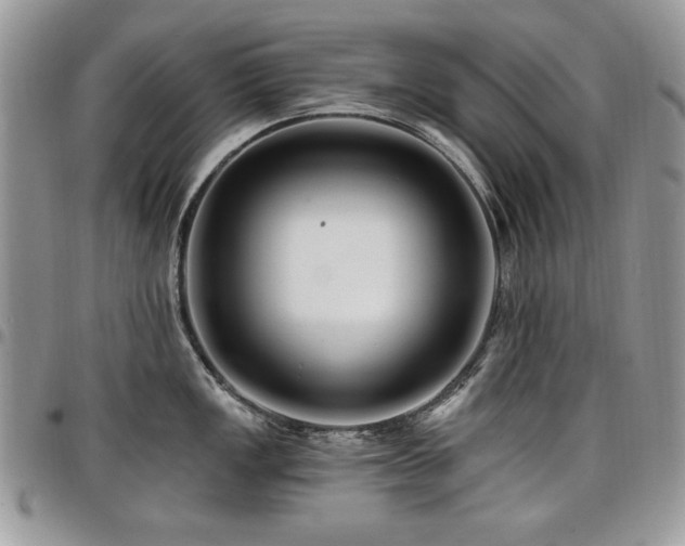 X0000098031149200803281403