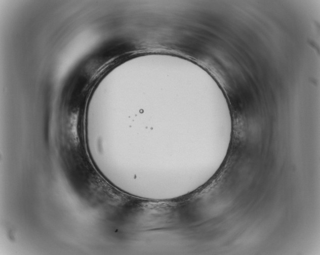 X0000098031150200803281403