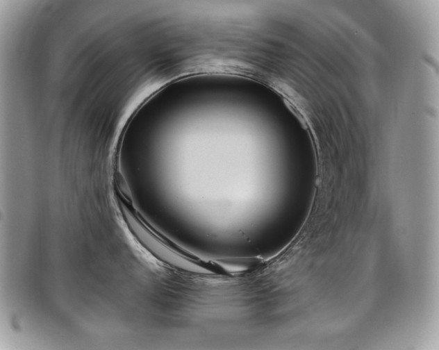 X0000098031152200803281403