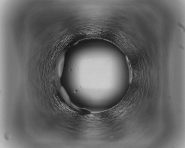 X0000098031153200803281402