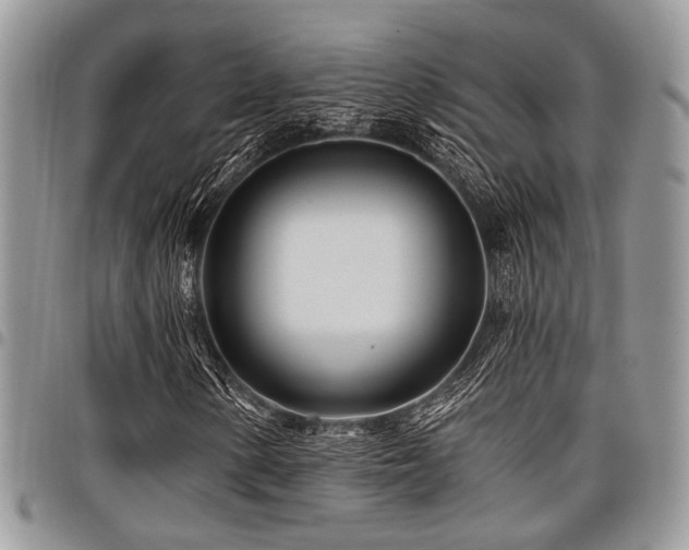 X0000098031154200803281402