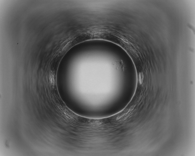 X0000098031155200803281402