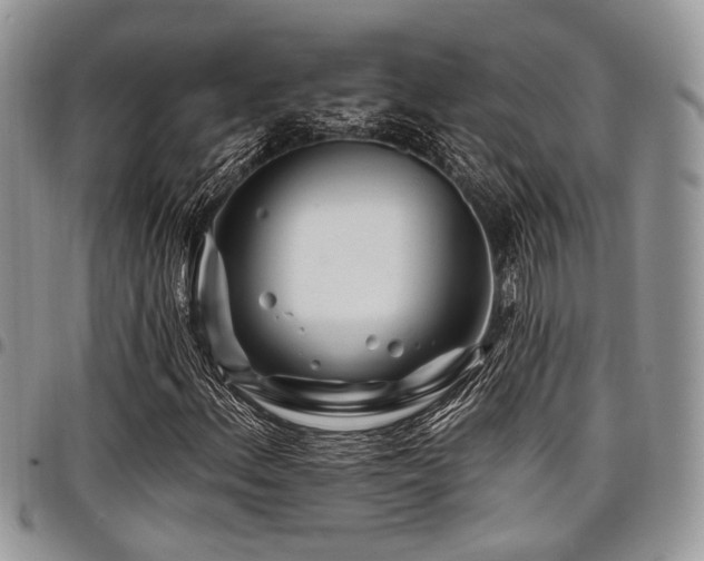 X0000098031156200803281402