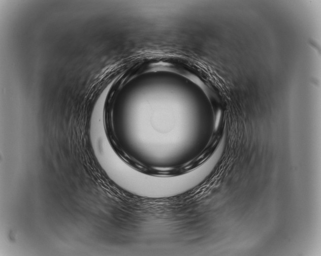 X0000098031157200803281402