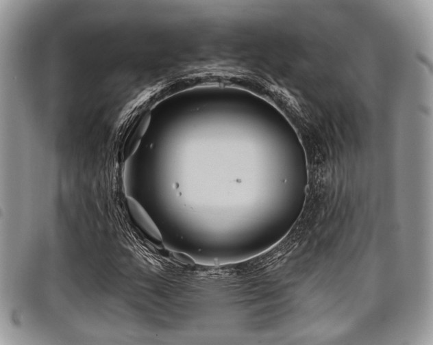 X0000098031159200803281402