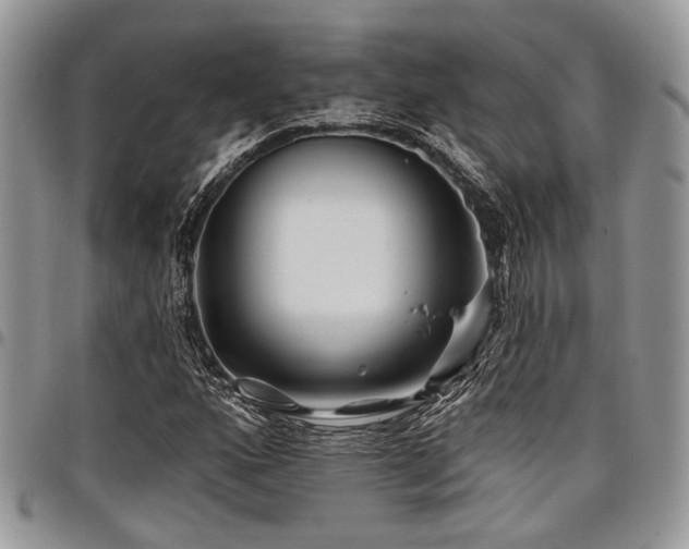 X0000098031160200803281402