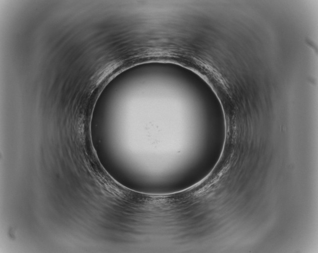 X0000098031162200803281402