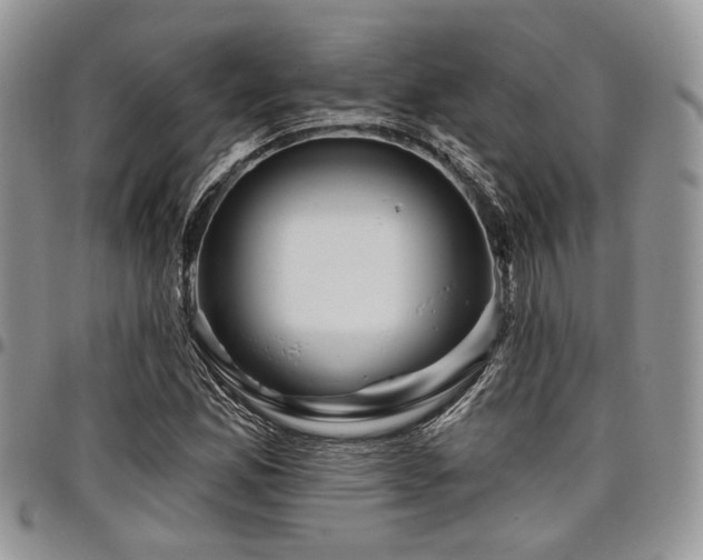 X0000098031165200803281402