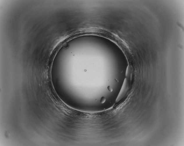 X0000098031166200803281402