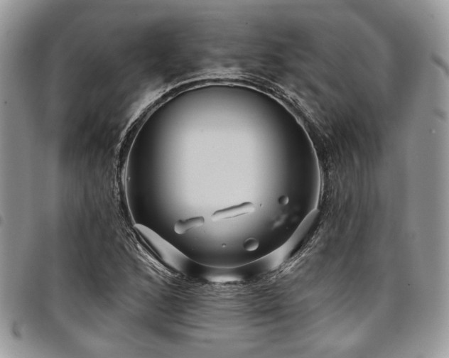 X0000098031168200803281402