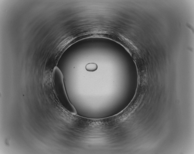 X0000098031169200803281402