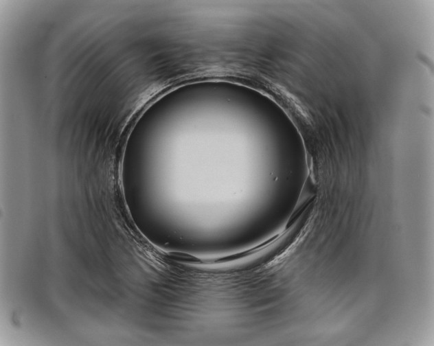 X0000098031170200803281402