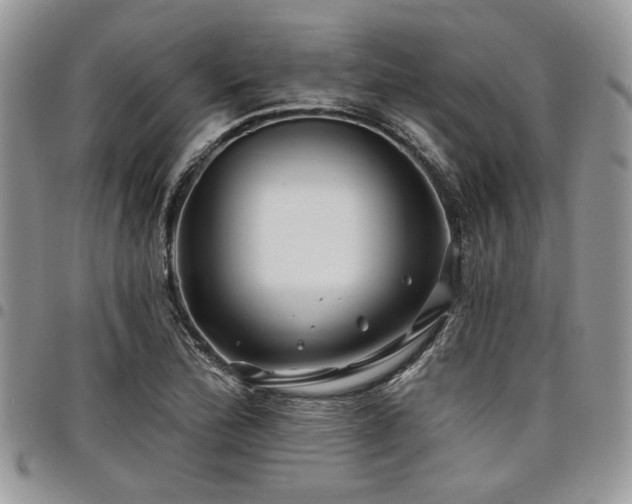 X0000098031172200803281402