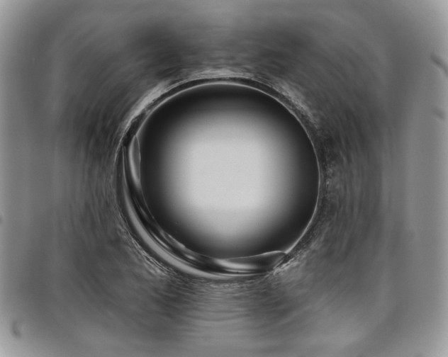 X0000098031173200803281402