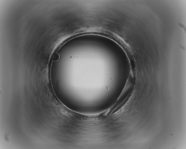 X0000098031174200803281402