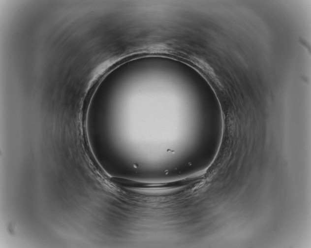 X0000098031176200803281402