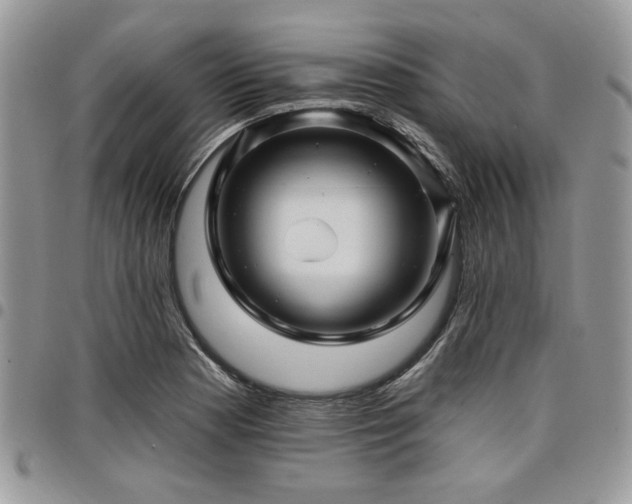 X0000098031177200803281402