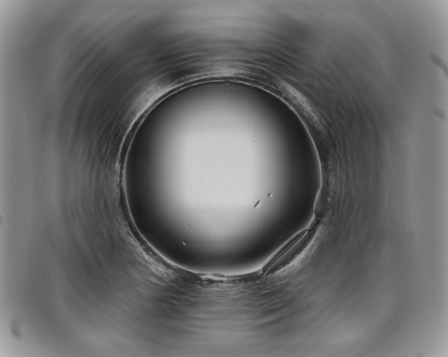 X0000098031178200803281402