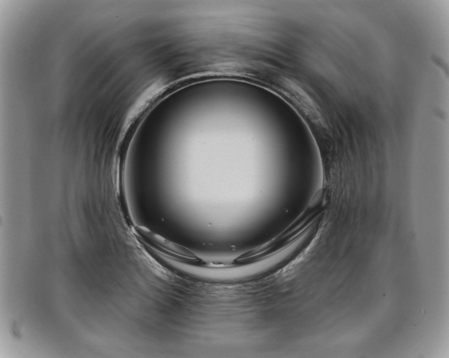 X0000098031180200803281402