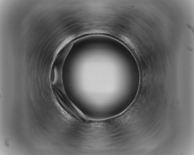 X0000098031181200803281402