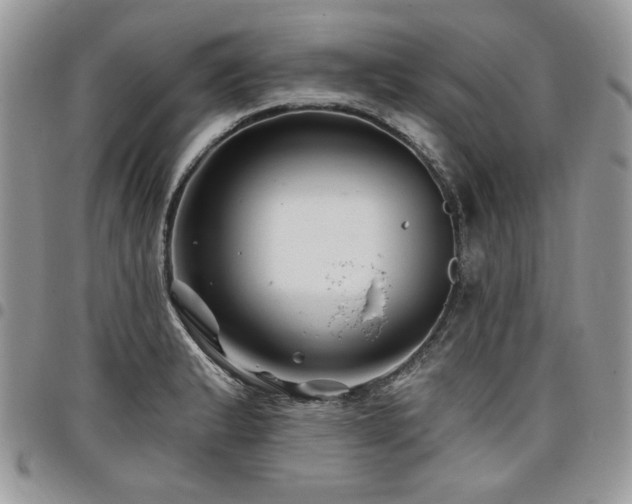 X0000098031183200803281402