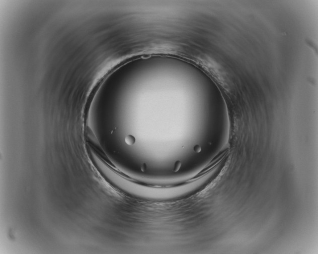 X0000098031184200803281402