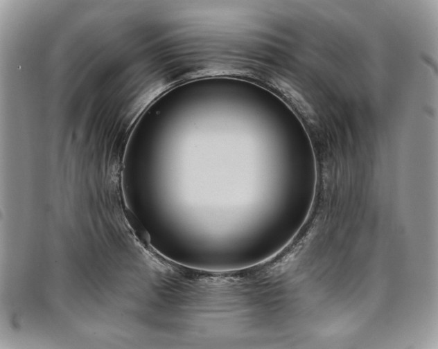 X0000098031185200803281402