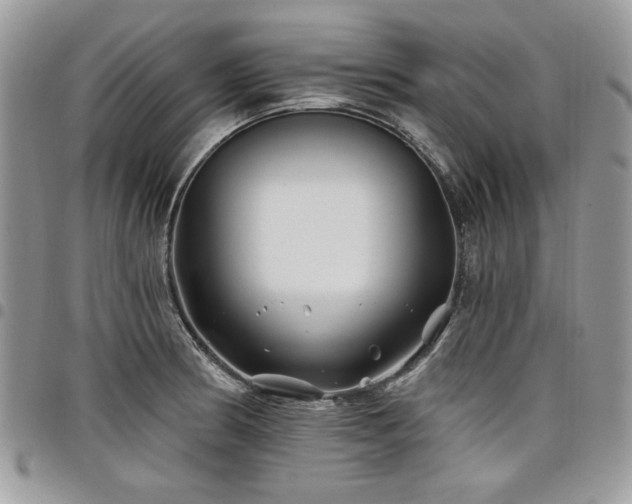 X0000098031186200803281402