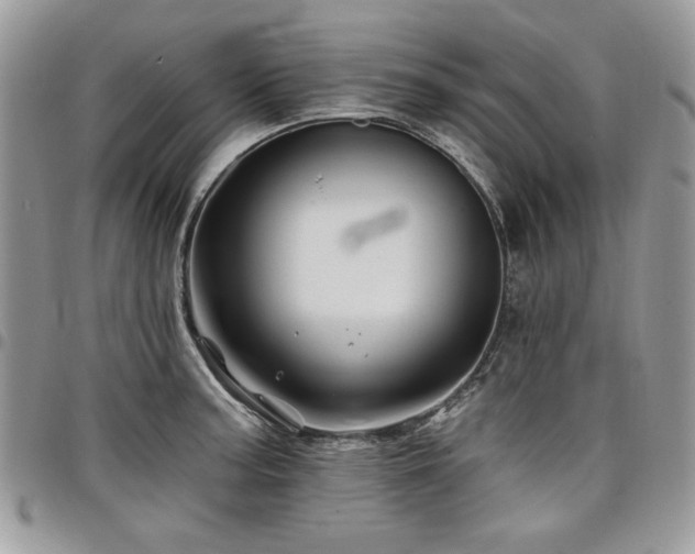 X0000098031187200803281402