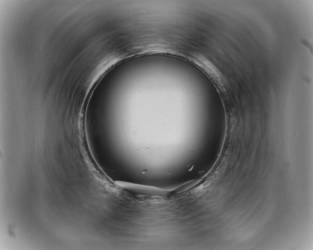 X0000098031190200803281401