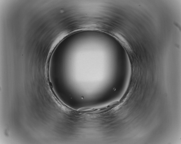 X0000098031196200803281401