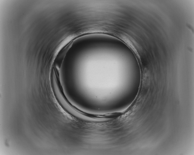 X0000098031197200803281401