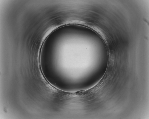 X0000098031199200803281401