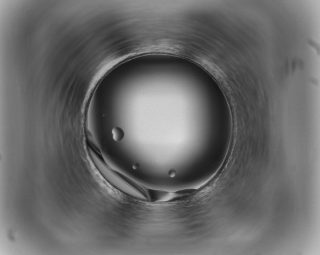 X0000098031200200803281401