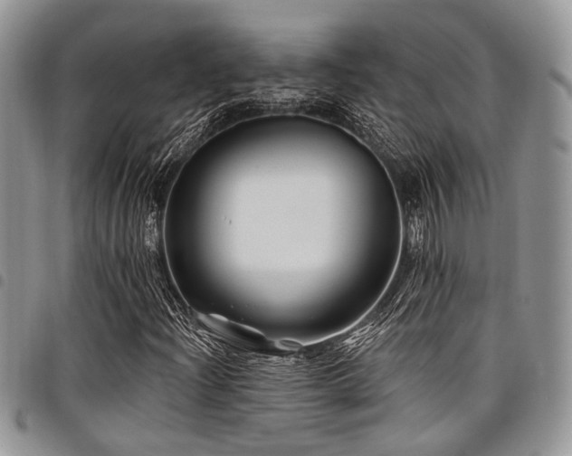 X0000098031204200803281401