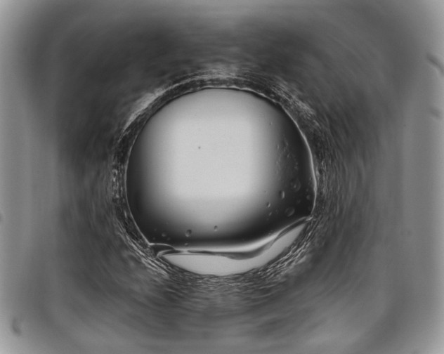 X0000098031208200803281401