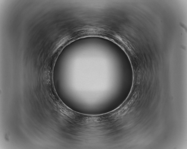 X0000098031211200803281401