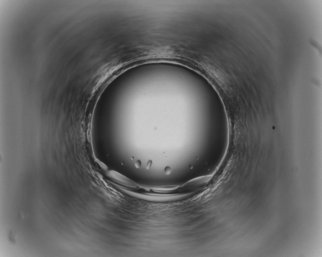 X0000098031212200803281401