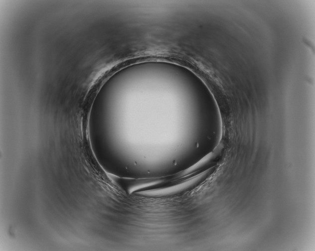 X0000098031214200803281401