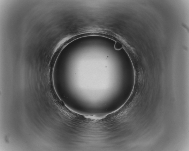 X0000098031222200803281401