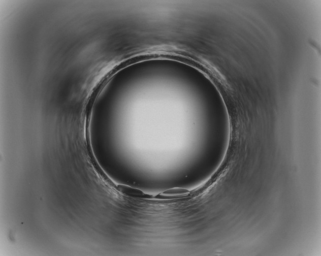 X0000098031224200803281401