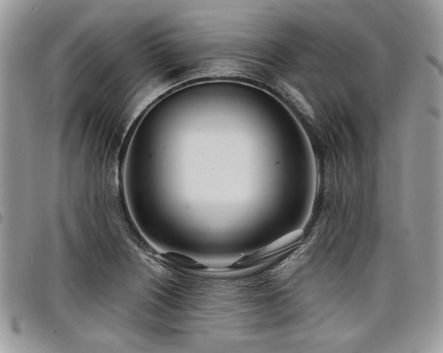 X0000098031226200803281401