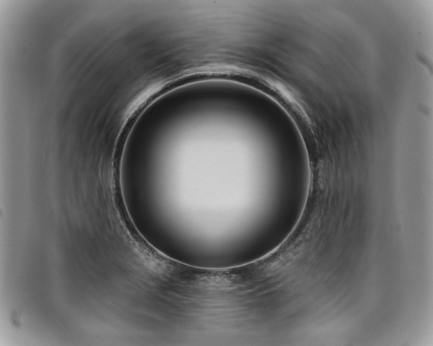 X0000098031229200803281401