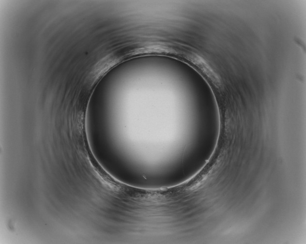X0000098031233200803281401