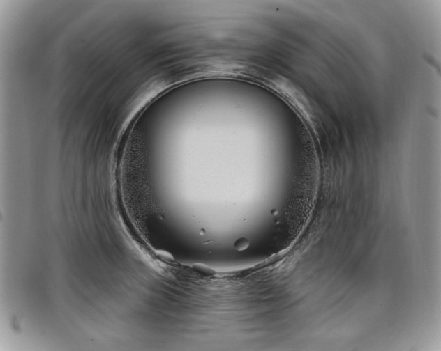 X0000098031235200803281401