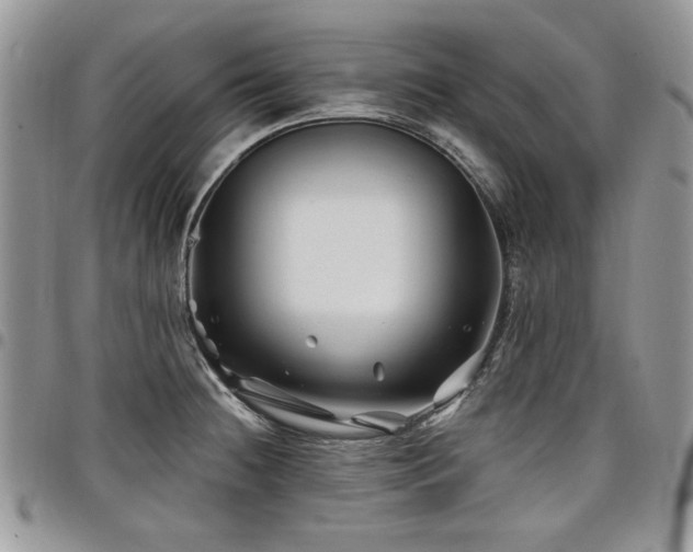 X0000098031236200803281401