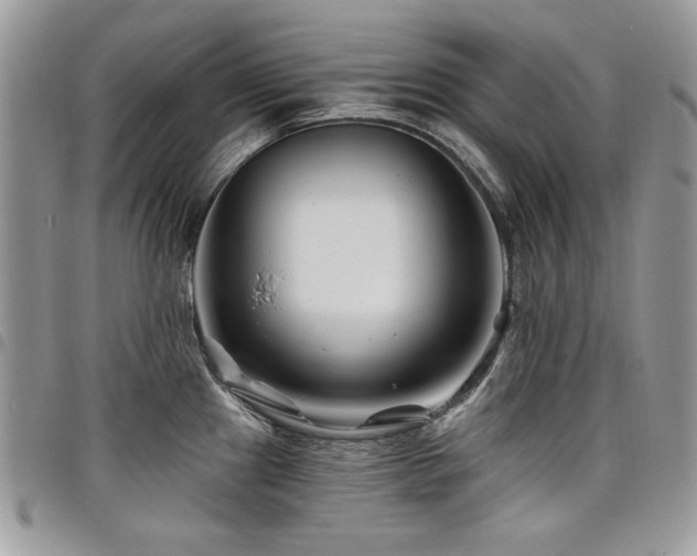 X0000098031241200803281401