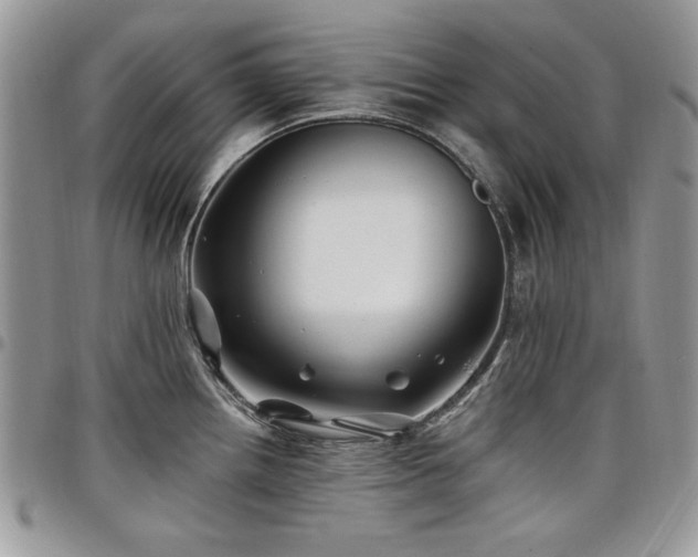 X0000098031242200803281401